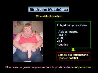Síndrome Metabólico Obesidad central El tejido adiposo libera: - Acidos grasos. - TNF   - PAI - IL6 -  Leptina Estado pro inflamatorio. Daño endotelial.  El exceso de grasa corporal reduce la producción de  adiponectina . 