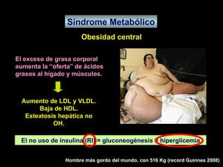 Síndrome Metabólico Obesidad central El exceso de grasa corporal aumenta la “oferta” de ácidos grasos al hígado y músculos. Aumento de LDL y VLDL. Baja de HDL. Esteatosis hepática no OH. El no uso de insulina (RI) = gluconeogénesis = hiperglicemia Hombre más gordo del mundo, con 516 Kg (record Guinnes 2008) 