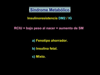 Síndrome Metabólico Insulinoresistencia  DM2  /  IG RCIU = bajo peso al nacer = aumento de SM  a)  Fenotipo ahorrador. b)  Insulina fetal. c)  Mixto. 