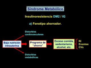 Síndrome Metabólico Insulinoresistencia  DM2  /  IG a)  Fenotipo ahorrador. Baja nutrición intrauterina Programa de “ ahorro” Exceso comida, sedentarismo, alcohol, etc. RI Eventos CVs Disturbios cardiovasculares Disturbios metabólicos 