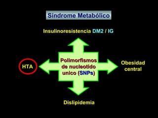 Síndrome Metabólico Dislipidemia Polimorfismos de nucleotido unico ( SNPs ) HTA Insulinoresistencia  DM2  /  IG Obesidad central 