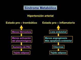 Síndrome Metabólico Hipertensión arterial Estado pro – trombótico  Estado pro – inflamatorio Tejido adiposo Aumento de PAI Menos activación del plasminógeno Menos fibrinolisis Tejido adiposo Citocinas Menos angiogénesis Más apoptosis endotelial Lisis endotelial 