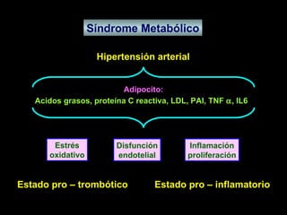 Síndrome Metabólico Hipertensión arterial Estrés oxidativo Disfunción endotelial Inflamación proliferación Acidos grasos, proteína C reactiva, LDL, PAI, TNF   , IL6  Estado pro – trombótico  Estado pro – inflamatorio Adipocito: 