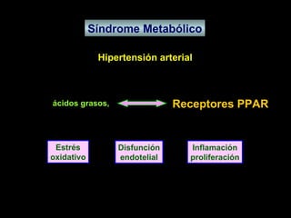 Síndrome Metabólico Hipertensión arterial Estrés oxidativo Disfunción endotelial Inflamación proliferación Leptina, ácidos grasos, proteína C recativa, LDL, PAI, TNF   , IL6  Receptores PPAR 