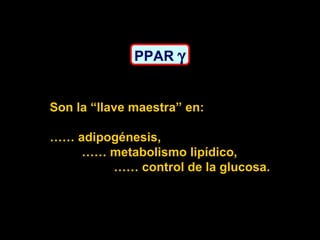 PPAR   Son la “llave maestra” en: ……  adipogénesis, ……  metabolismo lipídico, ……  control de la glucosa.  