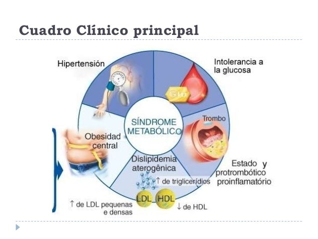 Síndrome metabólico Síndrome metabólico