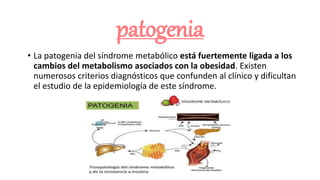 patogenia
• La patogenia del síndrome metabólico está fuertemente ligada a los
cambios del metabolismo asociados con la ob...