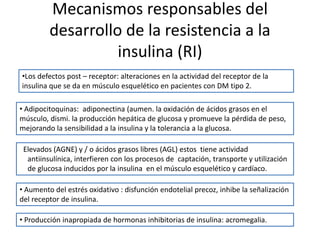 Mecanismos responsables del
desarrollo de la resistencia a la
insulina (RI)
•Los defectos post – receptor: alteraciones en la actividad del receptor de la
insulina que se da en músculo esquelético en pacientes con DM tipo 2.
• Adipocitoquinas: adiponectina (aumen. la oxidación de ácidos grasos en el
músculo, dismi. la producción hepática de glucosa y promueve la pérdida de peso,
mejorando la sensibilidad a la insulina y la tolerancia a la glucosa.
Elevados (AGNE) y / o ácidos grasos libres (AGL) estos tiene actividad
antiinsulínica, interfieren con los procesos de captación, transporte y utilización
de glucosa inducidos por la insulina en el músculo esquelético y cardíaco.
• Aumento del estrés oxidativo : disfunción endotelial precoz, inhibe la señalización
del receptor de insulina.
• Producción inapropiada de hormonas inhibitorias de insulina: acromegalia.
 