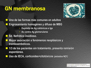 GN membranosa
 Una de las formas más comunes en adultos
 Engrosamiento homogéneo y difuso de MBG
           • Depósito de Ag catiónicos e Igs
           • Ac contra Ag glomerulares
 Sd. Nefrótico insidioso.
 Mayor asociación a fenómenos neoplásicos y
  tromboembólicos.
 1/3 de los pacientes sin tratamiento, presenta remisión
  espontánea.
 Uso de IECA, corticoides+citotóxicos (aislados NO!)
 