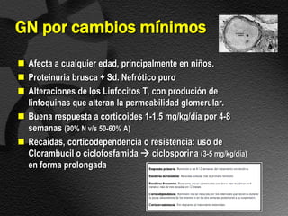 GN por cambios mínimos
 Afecta a cualquier edad, principalmente en niños.
 Proteinuria brusca + Sd. Nefrótico puro
 Alteraciones de los Linfocitos T, con produción de
  linfoquinas que alteran la permeabilidad glomerular.
 Buena respuesta a corticoides 1-1.5 mg/kg/día por 4-8
  semanas (90% N v/s 50-60% A)
 Recaidas, corticodependencia o resistencia: uso de
  Clorambucil o ciclofosfamida  ciclosporina (3-5 mg/kg/día)
  en forma prolongada
 