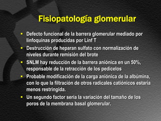 Fisiopatología glomerular
 Defecto funcional de la barrera glomerular mediado por
  linfoquinas producidas por Linf T
 Destrucción de heparan sulfato con normalización de
  niveles durante remisión del brote
 SNLM hay reducción de la barrera aniónica en un 50%,
  responsable de la retracción de los pedicelos
 Probable modificación de la carga aniónica de la albúmina,
  con lo que la filtración de otros radicales catiónicos estaría
  menos restringida.
 Un segundo factor sería la variación del tamaño de los
  poros de la membrana basal glomerular.
 