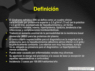 Definición
 El Síndrome nefrótico (SN) se define como un cuadro clínico
  caracterizado por proteinuria superior a 3,5 g/24 h/1,73 m2 (en la práctica
  > a 3 gr/24 hrs), acompañada de hipoalbuminemia y, en forma
  secundaria y variable, edema, hiperlipidemia, lipiduria, tendencia a las
  infecciones y complicaciones tromboembólicas.
 Traduce un aumento anormal de la permeabilidad de la membrana basal
  glomerular (MBG) para las proteínas del plasma.
 El único criterio imprescindible para el diagnóstico es la magnitud de la
  proteinuria, pero la hipoalbuminemia (albúmina sérica inferior a 2,5 g/dL)
  es prácticamente constante. Los edemas son muy frecuentes, aunque
  no es obligada su presencia para el diagnóstico. La hiperlipidemia es
  menos constante.
 Puede estar causado por enfermedades renales muy diversas.
 Su aparición le otorga mal pronóstico a la causa de base (a excepción de
  aquellas respondedoras a corticoides)
 Incidencia: 3 casos por 100.000 habitantes/año.
 