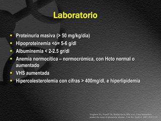 Laboratorio

 Proteinuria masiva (> 50 mg/kg/día)
 Hipoproteinemia <ó= 5-6 g/dl
 Albuminemia < 2-2.5 gr/dl
 Anemia normocítica – normocrómica, con Hcto normal o
  aumentado
 VHS aumentada
 Hipercolesterolemia con cifras > 400mg/dl, e hiperlipidemia




                                     Varghese SA, Powell TB, Budisavljevic MN, et al. Urine biomarkers
                                     predict the cause of glomerular disease. J Am Soc Nephrol. 2007;18:913-22
 