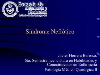 Síndrome Nefrótico Javier Herrera Barroso. 6to. Semestre licenciatura en Habilidades y Conocimientos en Enfermería Patología Médico Quirúrgica ll 