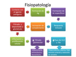 Fisiopatología
Contacto con
                    Formación de           Formación de
  el agente
                        Ag                 Ac específicos
 patógeno



 Filtrado y
                    Activación de            Respuesta
depositado a
                    complemento               inmune
 glomérulo



Inflamación y
                        Filtrado              Paso de H2O
 proliferación
                      glomerular                y Na
    celular


                    •Albuminuria,     •hipervolemia, edema, hipe
                    eritrocituria y   rtensión arterial y retensión
                    leucocituria      de azoados
 