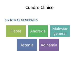 Cuadro Clínico

SINTOMAS GENERALES

                          Malestar
   Fiebre     Anorexia
                          general

        Astenia      Adinamia
 