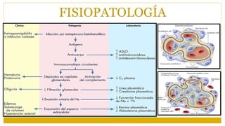 FISIOPATOLOGÍA
 