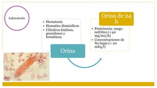 Laboratorio
• Hematuria
• Hematíes dismórficos
• Cilindros hialinos,
granulosos y
hemáticos.
Orina
• Proteinuria: rango
nefrítico (<40
mg/m2/h)
• Concentraciones de
Na bajas (< 20
mEq/l)
Orina de 24
h
 