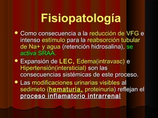  Como consecuencia a laComo consecuencia a la reducción de VFGreducción de VFG ee
intensointenso estímuloestímulo para lapara la reabsorción tubularreabsorción tubular
de Na+ y aguade Na+ y agua (retención hidrosalina),(retención hidrosalina), sese
activa SRAA.activa SRAA.
 Expansión deExpansión de LEC,LEC, Edema(intravasc)Edema(intravasc) ee
Hipertensión(intersticial)Hipertensión(intersticial) son lasson las
consecuencias sistémicas de este proceso.consecuencias sistémicas de este proceso.
 LasLas modificaciones urinarias visiblesmodificaciones urinarias visibles alal
sedimeto (sedimeto (hematuria,hematuria, proteinuriaproteinuria) reflejan el) reflejan el
proceso inflamatorio intrarrenalproceso inflamatorio intrarrenal
Fisiopatología
 