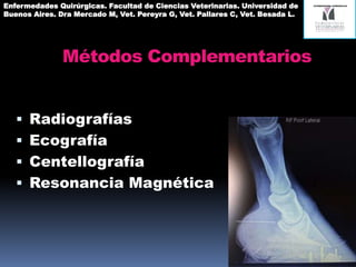 Métodos Complementarios
 Radiografías
 Ecografía
 Centellografía
 Resonancia Magnética
Enfermedades Quirúrgicas. Facultad de Ciencias Veterinarias. Universidad de
Buenos Aires. Dra Mercado M, Vet. Pereyra G, Vet. Pallares C, Vet. Besada L.
 