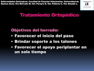 Tratamiento Ortopédico
Objetivos del herrado:
 Favorecer el inicio del paso
 Brindar soporte a los talones
 Favorecer el apoyo periplantar en
un solo tiempo
Enfermedades Quirúrgicas. Facultad de Ciencias Veterinarias. Universidad de
Buenos Aires. Dra Mercado M, Vet. Pereyra G, Vet. Pallares C, Vet. Besada L.
 