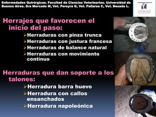Herrajes que favorecen el
inicio del paso:
Herraduras con pinza trunca
Herraduras con justura francesa
Herraduras de balance natural
Herraduras con movimiento
contínuo
Herraduras que dan soporte a los
talones:
Herradura barra huevo
Herradura con callos
ensanchados
Herradura napoleónica
Enfermedades Quirúrgicas. Facultad de Ciencias Veterinarias. Universidad de
Buenos Aires. Dra Mercado M, Vet. Pereyra G, Vet. Pallares C, Vet. Besada L.
 