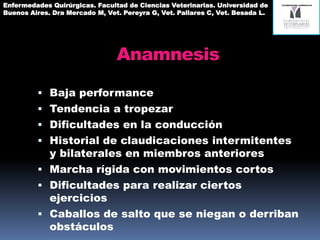 Anamnesis
 Baja performance
 Tendencia a tropezar
 Dificultades en la conducción
 Historial de claudicaciones intermitentes
y bilaterales en miembros anteriores
 Marcha rígida con movimientos cortos
 Dificultades para realizar ciertos
ejercicios
Enfermedades Quirúrgicas. Facultad de Ciencias Veterinarias. Universidad de
Buenos Aires. Dra Mercado M, Vet. Pereyra G, Vet. Pallares C, Vet. Besada L.
 