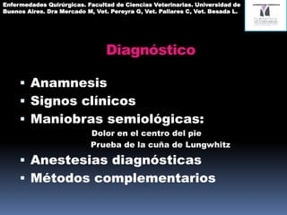 Diagnóstico
 Anamnesis
 Signos clínicos
 Maniobras semiológicas:
Dolor en el área de la tróclea
Prueba de la cuña de Lungwitz
 Anestesias diagnósticas
 Métodos complementarios
Enfermedades Quirúrgicas. Facultad de Ciencias Veterinarias. Universidad de
Buenos Aires. Dra Mercado M, Vet. Pereyra G, Vet. Pallares C, Vet. Besada L.
 