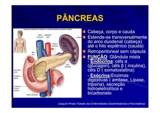 PÂNCREAS
                       Cabeça, corpo e cauda
                       Estende-
                       Estende-se transversalmente
                       do arco duodenal (cabeça)
                       até o hilo esplênico (cauda)
                       Retroperitoneal sem cápsula
                       FUNÇÃO:
                       FUNÇÃO: Glândula mista
                       - Endócrina: céls α
                         Endócrina:
                       (glucagon), céls β ( insulina),
                       céls D ( somatostatina)
                       - Exócrina:Enzimas
                         Exócrina:
                       digestivas ( amilase, Lipase,
                       tripsina), secreção
                       hidroeletrolítica e
                       bicarbonato

Joaquim Prado-Tratado das Enfermidades Gastrintestinais e Pancreáticas
        Prado-
 