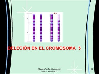 Elaboró:Profra.Maricarmen Garcìa  Enero 2007 DELECIÓN EN EL CROMOSOMA  5 