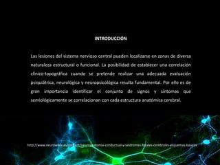 INTRODUCCIÓN

Las lesiones del sistema nervioso central pueden localizarse en zonas de diversa

naturaleza estructural o funcional. La posibilidad de establecer una correlación
clínico-topográfica cuando se pretende realizar una adecuada evaluación
psiquiátrica, neurológica y neuropsicológica resulta fundamental. Por ello es de
gran importancia identificar el conjunto de signos y síntomas que

semiológicamente se correlacionan con cada estructura anatómica cerebral.

http://www.neurowikia.es/content/neuroanatomia-conductual-y-sindromes-focales-cerebrales-esquemas-basicos

 