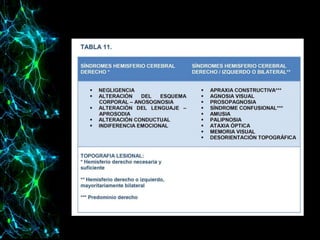 Síndromes cerebrales.