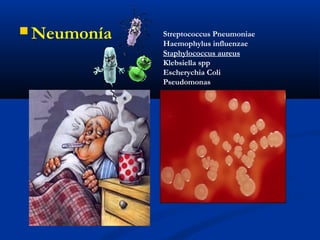  Neumonía Streptococcus Pneumoniae
Haemophylus influenzae
Staphylococcus aureus
Klebsiella spp
Escherychia Coli
Pseudomonas
 