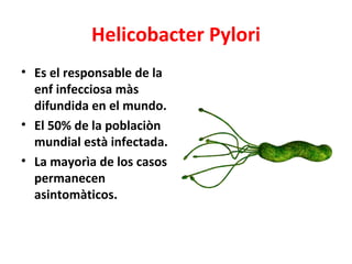 Helicobacter Pylori
• Es el responsable de la
  enf infecciosa màs
  difundida en el mundo.
• El 50% de la poblaciòn
  mun...