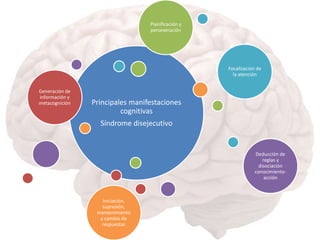 Planificación y
perseveración

Focalización de
la atención
Generación de
información y
metacognición

Principales manifestaciones
cognitivas
Síndrome disejecutivo

Deducción de
reglas y
disociación
conocimientoacción

Iniciación,
supresión,
mantenimiento
y cambio de
respuestas

 