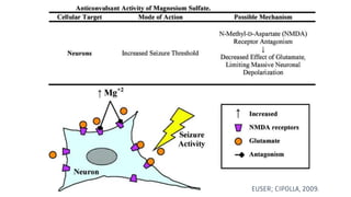 EUSER; CIPOLLA, 2009.
 