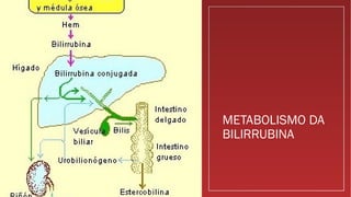 METABOLISMO DA
BILIRRUBINA
 