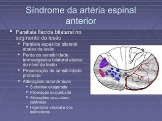 Síndrome da artéria espinal 
anterior 
 Paralisia flácida bilateral no 
segmento da lesão 
 Paralisia espástica bilateral 
abaixo da lesão 
 Perda da sensibilidade 
termoalgésica bilateral abaixo 
do nível da lesão 
 Preservação da sensibilidade 
profunda 
 Alterações autonômicas 
 Sudorese exagerada 
 Piloereção exacerbada 
 Alterações vasculares 
cutâneas 
 Hipertonia vesical e dos 
esfíncteres 
 