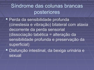 Síndrome das colunas brancas 
posteriores 
 Perda da sensibilidade profunda 
(cinestesia e vibração) bilateral com ataxia 
decorrente da perda sensorial 
(dissociação tabética = alteração da 
sensibilidade profunda e preservação da 
superficial) 
 Disfunção intestinal, da bexiga urinária e 
sexual 
 