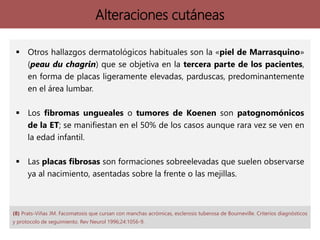Alteraciones cutáneas
 Otros hallazgos dermatológicos habituales son la «piel de Marrasquino»
(peau du chagrin) que se objetiva en la tercera parte de los pacientes,
en forma de placas ligeramente elevadas, parduscas, predominantemente
en el área lumbar.
 Los fibromas ungueales o tumores de Koenen son patognomónicos
de la ET; se manifiestan en el 50% de los casos aunque rara vez se ven en
la edad infantil.
 Las placas fibrosas son formaciones sobreelevadas que suelen observarse
ya al nacimiento, asentadas sobre la frente o las mejillas.
(8) Prats-Viñas JM. Facomatosis que cursan con manchas acrómicas, esclerosis tuberosa de Bourneville. Criterios diagnósticos
y protocolo de seguimiento. Rev Neurol 1996;24:1056-9.
 