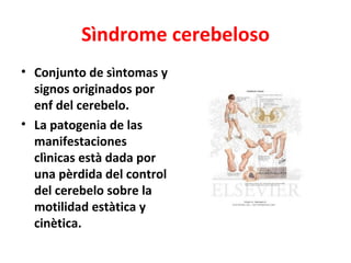 Sìndrome cerebeloso
• Conjunto de sìntomas y
  signos originados por
  enf del cerebelo.
• La patogenia de las
  manifestaciones
  clìnicas està dada por
  una pèrdida del control
  del cerebelo sobre la
  motilidad estàtica y
  cinètica.
 