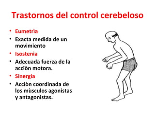 Trastornos del control cerebeloso
• Eumetrìa
• Exacta medida de un
  movimiento
• Isostenia
• Adecuada fuerza de la
  acciòn motora.
• Sinergia
• Acciòn coordinada de
  los mùsculos agonistas
  y antagonistas.
 