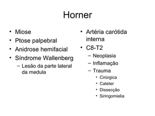 Horner 
• Miose 
• Ptose palpebral 
• Anidrose hemifacial 
• Síndrome Wallenberg 
– Lesão da parte lateral 
da medula 
• Artéria carótida 
interna 
• C8-T2 
– Neoplasia 
– Inflamação 
– Trauma 
• Cirúrgica 
• Cateter 
• Dissecção 
• Siringomielia 
 
