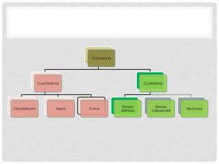 Conciencia




               Cuantitativas                                Cualitativas




                                                Estado            Estado
Obnubilación              Sopor   Coma                                        Alucinosis
                                                delirioso       crepuscular
 