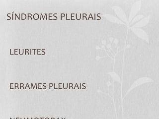 SÍNDROMES PLEURAIS
LEURITES
ERRAMES PLEURAIS
 