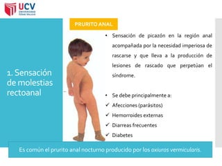 1. Sensación 
de molestias 
rectoanal 
PRURITO ANAL 
• Sensación de picazón en la región anal 
acompañada por la necesidad imperiosa de 
rascarse y que lleva a la producción de 
lesiones de rascado que perpetúan el 
síndrome. 
• Se debe principalmente a: 
 Afecciones (parásitos) 
 Hemorroides externas 
 Diarreas frecuentes 
 Diabetes 
Es común el prurito anal nocturno producido por los oxiuros vermicularis. 
 