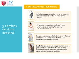 3. Cambios 
del ritmo 
intestinal 
CONSTIPACIÓN O ESTREÑIMIENTO 
Dificultad de evacuar las heces, con un aumento 
secundario de su consistencia y con forma 
acintada. 
Se presenta en afecciones del recto y ano: 
tumores rectales, rectitis, fisura anal y 
hemorroides internas. 
Se deben a espasmo del esfínter interno del ano, a 
una disminución del calibre intestinal o a la 
contractura del esfínter externo. 
Seudodiarrea, se caracteriza por la eliminación de 
pequeñas cantidades de materias fecales de 
consistencia liquida retenidas durante mucho 
tiempo por encima de un bolo fecal. 
 