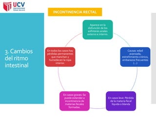 3. Cambios 
del ritmo 
intestinal 
INCONTINENCIA RECTAL 
Aparece en la 
disfunción de los 
esfínteres anales 
externo e interno. 
Causas: edad 
avanzada, 
estreñimiento crónico, 
embarazos frecuentes 
(…) 
En casos leve: Pérdida 
de la materia fecal 
líquida o blanda 
En todos los casos hay 
pérdidas permanentes 
que manchan y 
humedecen la ropa 
En casos graves: Se 
puede extender a 
incontinencia de 
materias fecales 
formadas. 
interior. 
 