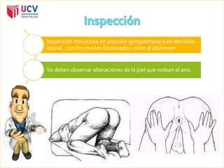 Inspección minuciosa en posición genupectoral o en decúbito 
lateral , con los muslos flexionados sobre el abdomen 
Se deben observar alteraciones de la piel que rodean el ano. 
 