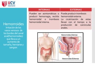 Hemorroides 
Irritación de los 
vasos venosos de 
los bordes del canal 
anal(hemorroides) 
que lleva a un 
aumento de 
tamaño, herniarse y 
sangrar. 
INTERNAS EXTERNAS 
Pueden ser asintomáticas o 
producir hemorragia, rectitis 
hemorroidal o trombosis 
hemorroidal interna. 
Puede producir trombosis 
hemorroidal externa. 
La cicatrización de estas 
llevan con el tiempo a la 
producción de carúnculas 
anales. 
 